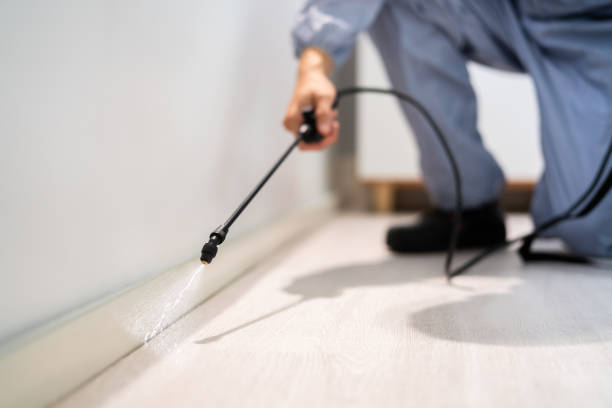 Licensed Pest Control service in Brockport, NY - Show Me Pest Control