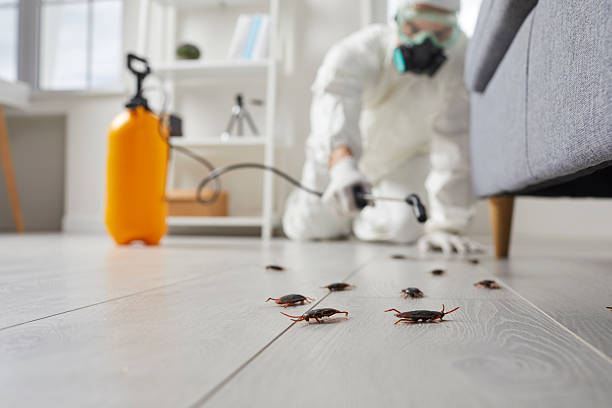 Post-Treatment Bed Bug Interceptor Monitoring in Brockport