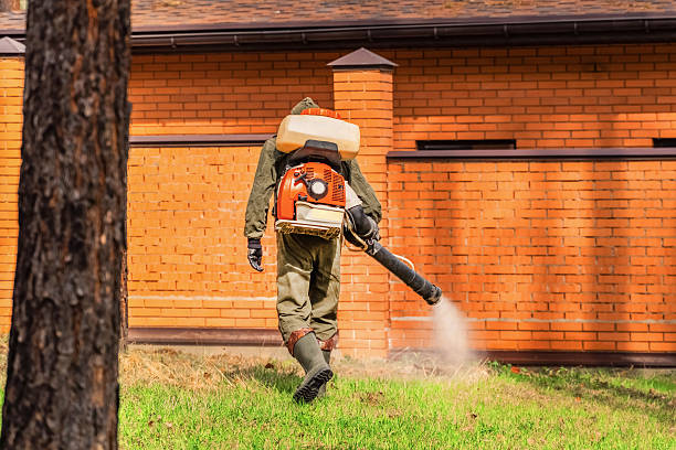 Bed Bug Clearance Verification and Documentation in Brockport
